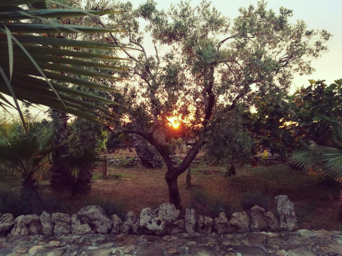 Agriturismo Tenuta La Siesta Gallipoli Exterior photo